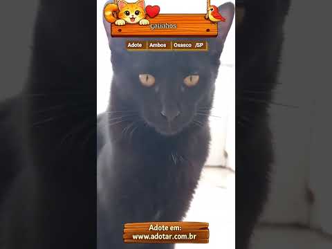 Vídeo de Frajolinha ??