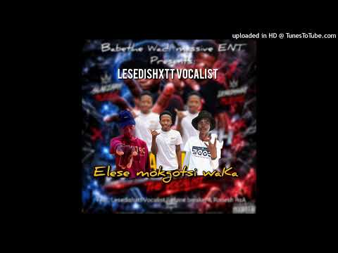 Elese_Mokgotsi_Waka_(Official_Audio)(feat. Lesedishxtt Vocalist, Bizziey RSA & Trosh Moroshless)