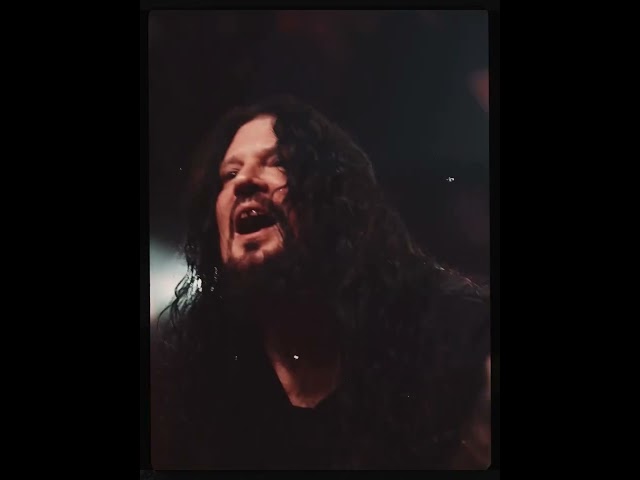 Vídeo relacionado con Arch Enemy Set The Flames Hombre Camiseta Gris 100% algodón Regular