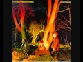 Echo and the bunnymen -  Monkeys
