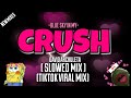 CRUSH SLOWED MIX DAVID ARCHULETA FT DJ JOECEL EXCLUSIVE Slowed Tiktok Shorts Crush 2023