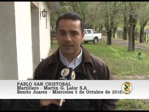 05-10-16 Nota Pablo San Cristobal - Cabaña La Cassina - B. Juarez.