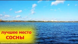 Хорошие места для ловли рыбы в днепре