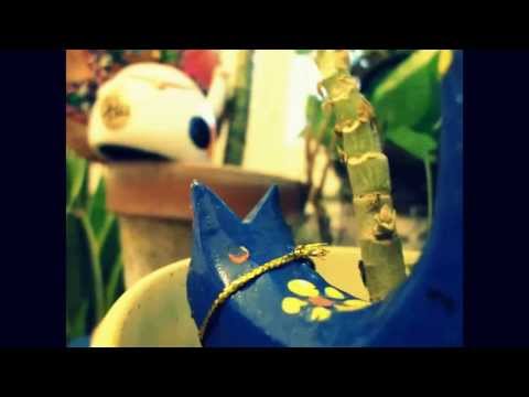 Humberto, ¿Dónde esta el gato? || Humberto, where is the cat?