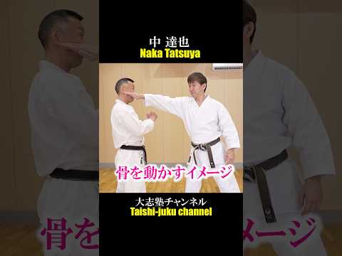 Budo Karate, Naka Tatsuya