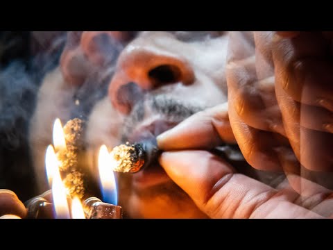 Chief Mufasa”Short Vlog”