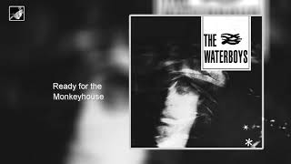 Ready for the Monkeyhouse #