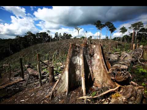 Earthcast SOS - Looting Amazonian Rainforests