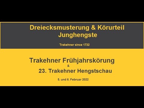 Trakehner Frühjahrskörung 2022 - Dreiecksmusterung und Körurteil der Junghengste