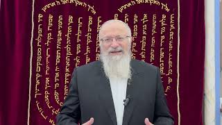 תעשו סיום מסכת למען הפצועים | הרב שמואל אליהו | הלכה יומית | י"ב אדר ב' תשפ"ד (הרב שמואל אליהו) - התמונה מוצגת ישירות מתוך אתר האינטרנט יוטיוב. זכויות היוצרים בתמונה שייכות ליוצרה. קישור קרדיט למקור התוכן נמצא בתוך דף הסרטון