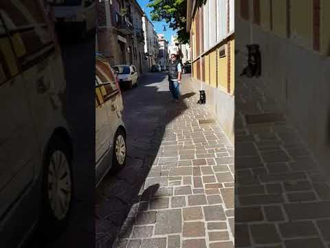 SANT' EUSANIO DEL SANGRO 3 IMPRESE DI POMPE FUNEBRI