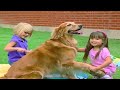 Barney Friends Rabbits Ducks And Fish 2006