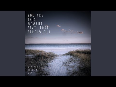 You Are This Moment (feat. Todd Perelmuter)