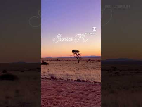 Sunset TV is the best. #safari #landcruiserlifestyle #shorts #firesidesessions