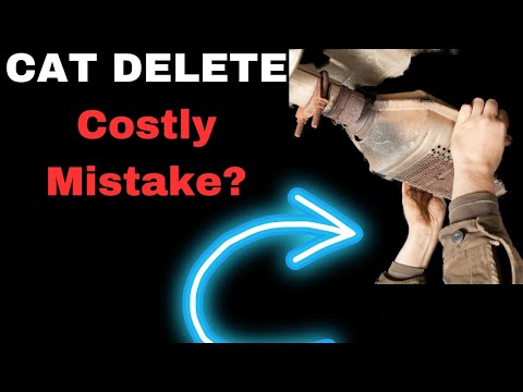 Catalytic Converter Removal Pros and Cons: CAT Delete 101