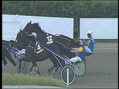 Trotto 29/05/2016 - 8° corsa