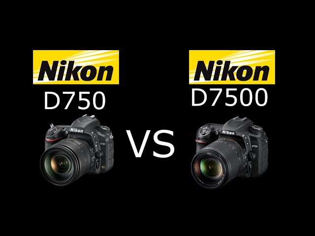 Vídeo relacionado con Sxhlseller Lente de Cámara con Espejo Súper Telefoto F8 de 500 Mm para Montaje en AI para Cámaras SLR D850, D810, D800, D780, D750, D500, D7500, D7200, D5600, Etc.