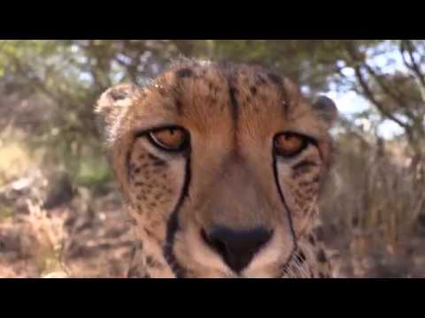 N/a’an ku sê… the WHOLE experience!