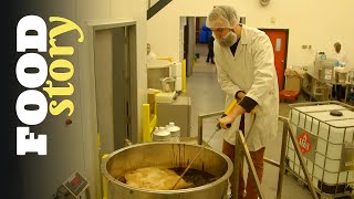 Thumbnail del capítulo