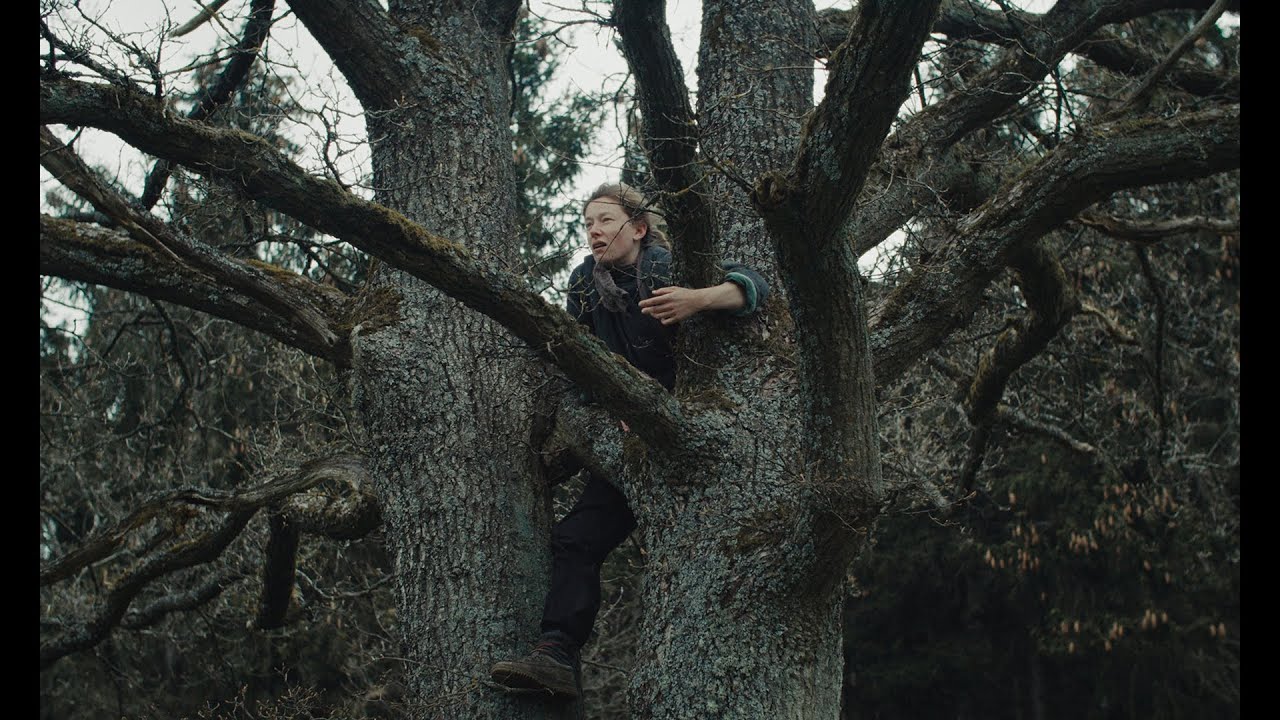 Ein schöner Ort Trailer