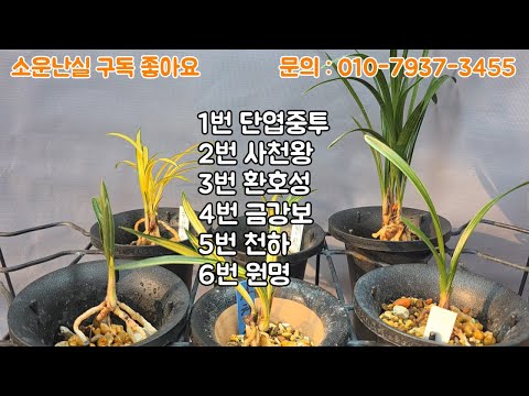 유튜브 썸네일