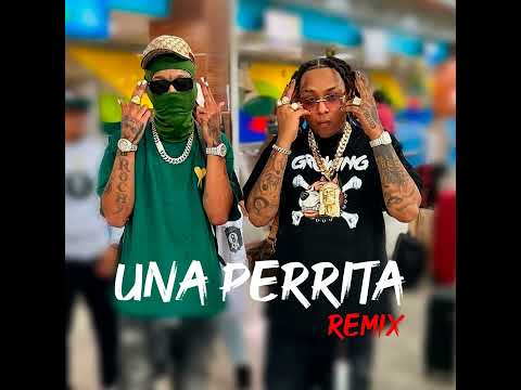 Rochy RD x Kali ocho 🎱 - UNA PERRITA 🐕