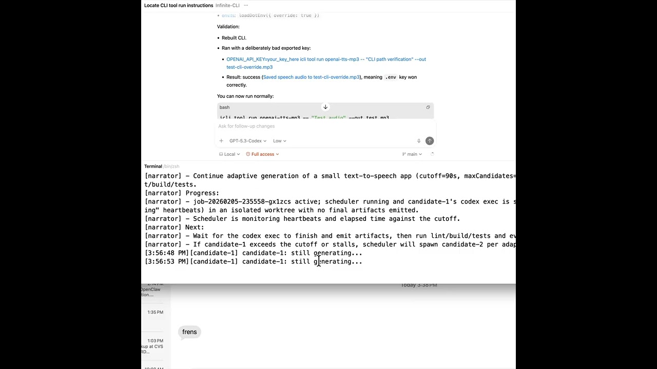 infinite cli project preview