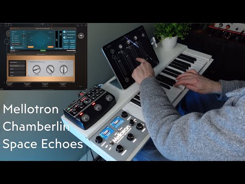 Mellotron Chamberlin Space Echoes - Mellowsound, iPhilicorda, AUM, Boss RE-202 Space Echo