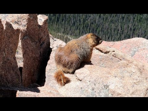 Park Narodowy Gór Skalistych w Kolorado - Rocky Mountain National Park