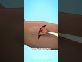 What Happens If Your Ear Is Cut Off 3D Animation Shorts Science 3danimation Hindi