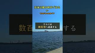 #株式 #日本株 #株式投資 #投資初心者 #資産運用 #高配当株 #成長株 #デイトレード #高配当株 #新NISA #日経平均