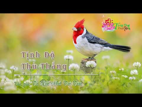 Chương 01: Tịnh Độ Thù Thắng