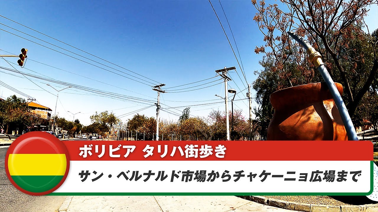 【ボリビア】タリハ⑬サン・ベルナルド市場からチャケーニョ広場まで