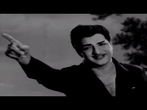 Talla Pellama || Telugu Jaathi Video Song || NTR, Santha Kumari