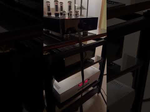 Playback Designs MPD-6 Edelweiss DAC