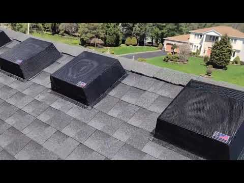 Bat Removal and Exclusion in Manalapan, NJ