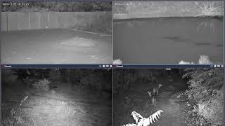 Thumbnail del capítulo