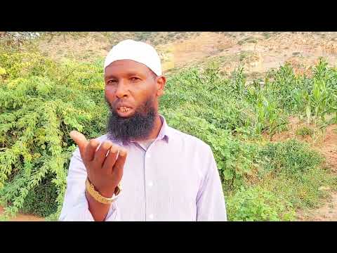 koo rabbitti amanii yaaboo najaa baataa