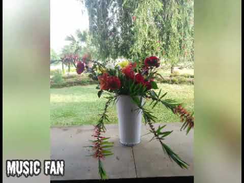 Father Almighty, We Give You Our Thanks