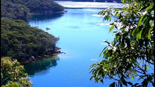 Walking Sydney | Hiking through Harold Reid Foreshore Track Trail | Osmo DJI Pocket