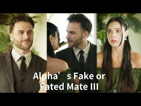 The girl met her alpha by accident and was spoiled by him...#movie #ceo #love #werewolfs #romance