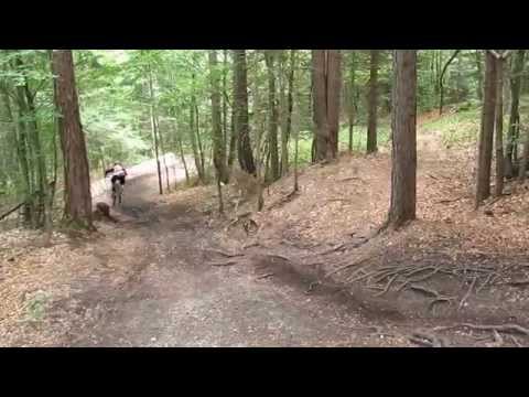 Luka Albreht in BIke park Kranjska Gora
