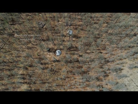 Airbnb · The Dukha Reindeer Tribe