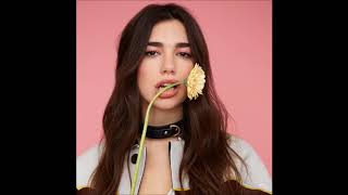 Download lagu Dua Lipa - New Rules ( Instrumental) mp3