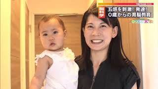 サンプル動画