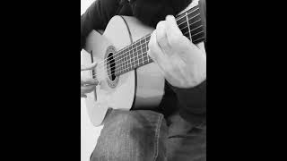 Paco de Lucía 🎸 Intro por Granaína 🎸 Reflejo de Luna