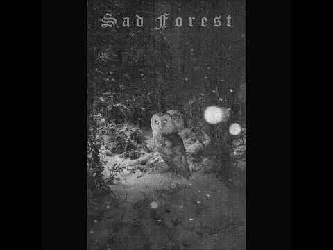 Sad Forest - The Winter Ghost (2021) (Dungeon Synth, Winter Synth)