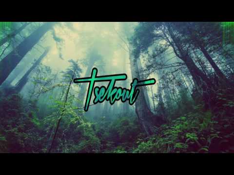 Lady Chann feat. Flowdan - Knowledge (Max RubaDub Remix)