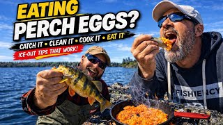 Catch & Cook Perch + Eggs (Ice-Out Fishing Tips That Work)