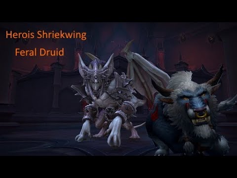 World of Warcraft Shadowlands: Shriekwing Heroic [Feral Druid PoV]